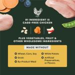 Instinct Raw Boost Small Breed Dog Food 10 lb