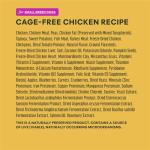 Instinct Raw Boost Small Breed Dog Food 10 lb