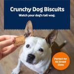 Blue Buffalo Crunchy Pumpkin & Cinnamon Dog Treats