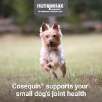 Nutramax Cosequin Minis Joint Health Soft Chews