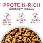 Purina ONE Sensitive Stomach Dry Dog Food 31.1 lb