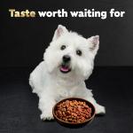 Cesar Small Breed Dry Dog Food, Porterhouse Flavor