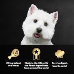 Cesar Wet Dog Food Variety Pack, 12 Trays