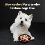 Cesar Wet Dog Food Variety Pack, 12 Trays