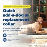 PetSafe Rechargeable Waterproof In-Ground Fence Collar