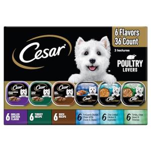 Cesar Poultry Lovers Wet Dog Food Variety Pack