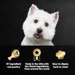 Cesar Poultry Lovers Wet Dog Food Variety Pack