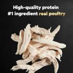 Cesar Poultry Lovers Wet Dog Food Variety Pack