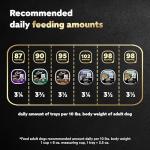 Cesar Poultry Lovers Wet Dog Food Variety Pack