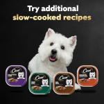 Cesar Poultry Lovers Wet Dog Food Variety Pack