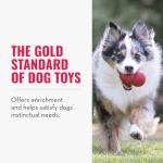 KONG Classic Stuffable Dog Toy for Small Dogs