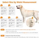 LOOBANI Portable Dog Sling for Rear Leg Support