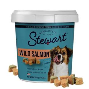 Stewart Freeze-Dried Wild Salmon Dog Treats