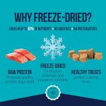 Stewart Freeze-Dried Wild Salmon Dog Treats