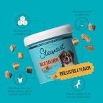Stewart Freeze-Dried Wild Salmon Dog Treats