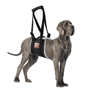 Comfort Lift Harness for Large Dogs' Back Legs