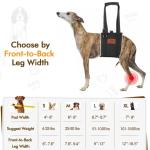 Comfort Lift Harness for Large Dogs' Back Legs