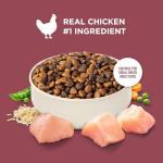 Rachael Ray Nutrish Small Breed Chicken & Veggies 5 lb
