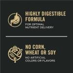 Purina Pro Plan Salmon & Rice Dog Food 16 lb