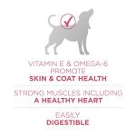 Purina ONE Sensitive Stomach Dry Dog Food