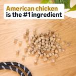 Wag Chicken Flavor Dog Training Treats 2 lb