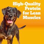 Pedigree Healthy Weight Dog Food - Chicken & Veggies