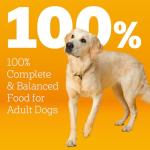 Pedigree Healthy Weight Dog Food - Chicken & Veggies