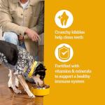 Pedigree Healthy Weight Dog Food - Chicken & Veggies