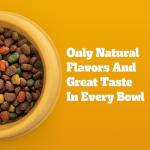 Pedigree Healthy Weight Dog Food - Chicken & Veggies