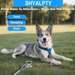 360° Dog Tie Out Stake for Large Dogs