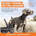 SportDOG FieldTrainer 425XS Remote Dog Training Collar
