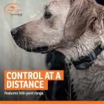 SportDOG FieldTrainer 425XS Remote Dog Training Collar