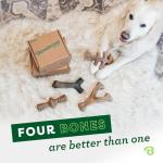 Benebone 4-Pack Chew Toys for Aggressive Chewers