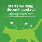 TevraPet Actispot II Flea Treatment for Cats