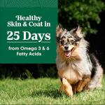 Nutro Natural Choice Dry Dog Food - Chicken & Rice