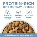 Purina ONE Plus Joint Health Dry Dog Food 16.5 lb