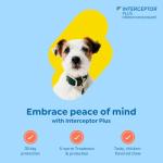 Interceptor Plus Chews for Heartworm & Worms 8.1-25 lbs