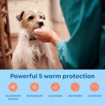 Interceptor Plus Chews for Heartworm & Worms 8.1-25 lbs