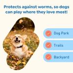 Interceptor Plus Chews for Heartworm & Worms 8.1-25 lbs