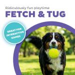 Outward Hound Giggle Ball Dog Toy for Fetch