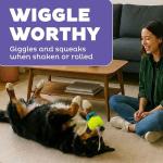 Outward Hound Giggle Ball Dog Toy for Fetch