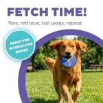 Outward Hound FlyFetch Dog Toy Discs, 2-Pack