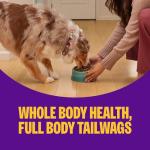 Wellness Complete Health Dry Dog Food, Small Breed