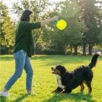 Outward Hound Giggle Ball Dog Toy for Fetch