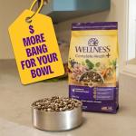 Wellness Complete Health Dry Dog Food, Small Breed