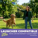 Outward Hound FlyFetch Dog Toy Discs, 2-Pack