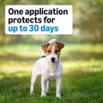 Flea, Tick & Mosquito Treatment for Medium Dogs