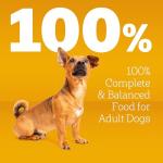 Pedigree Dry Dog Food - Roasted Chicken Flavor