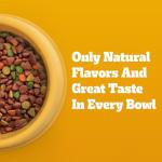 Pedigree Dry Dog Food - Roasted Chicken Flavor