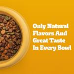 Pedigree Tender Bites Dry Dog Food, Chicken & Steak